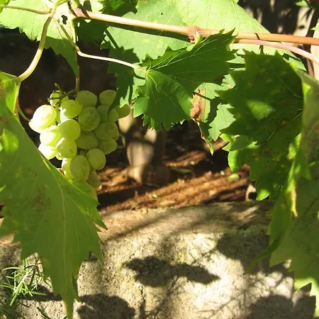 Apartmán Tanja Supetar