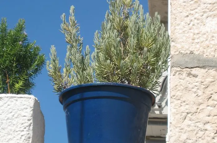 Апартаменты Tanja