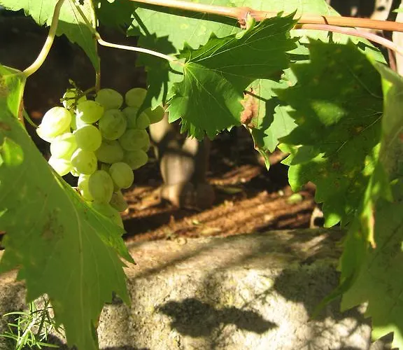 Апартаменты Tanja Супетар