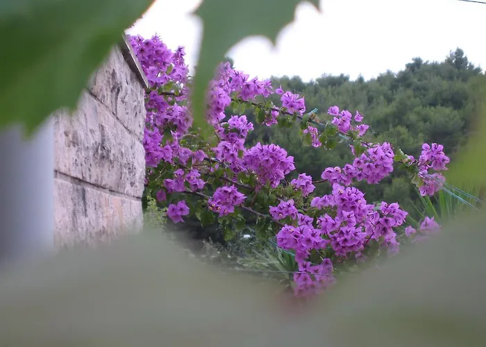 Tanja Апартаменты Супетар