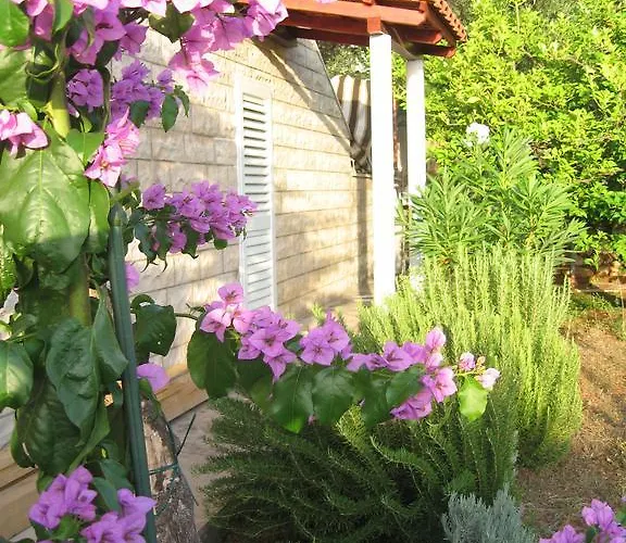 Tanja Апартаменты *