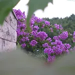 Tanja דירה סופטאר