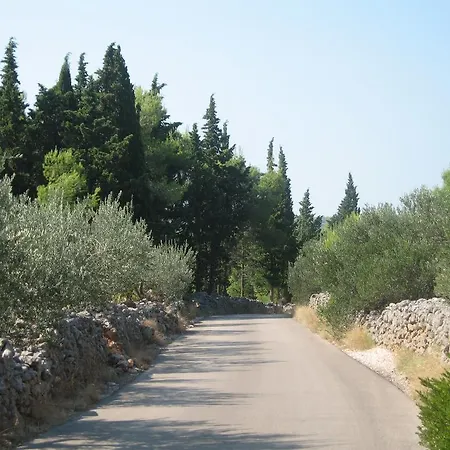 Tanja *